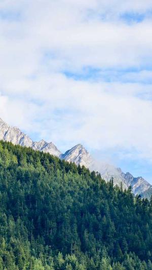 吃瓜天堂吃瓜网截图1